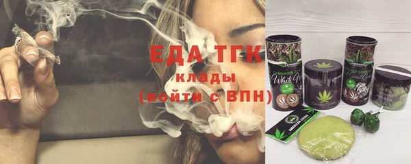 индика Аркадак