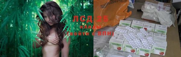 каннабис Арсеньев