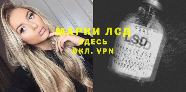 индика Аркадак