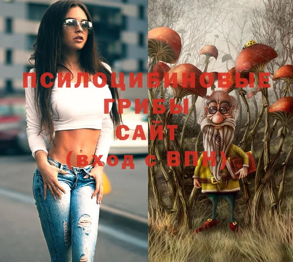 эйфоретик Баксан