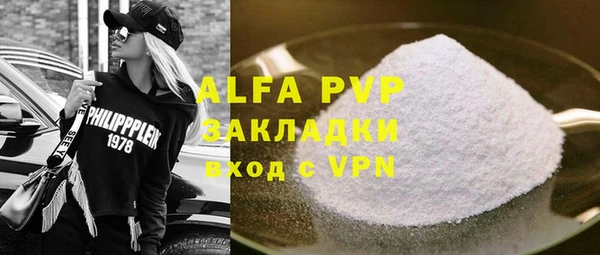 индика Аркадак