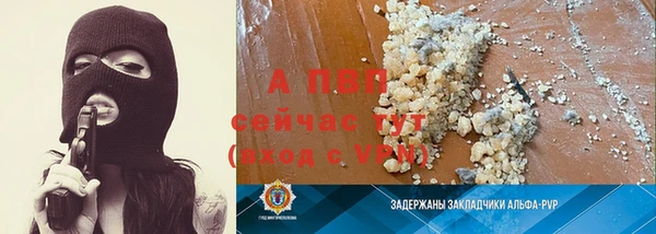 эйфоретик Баксан