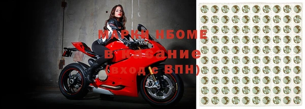 эйфоретик Баксан