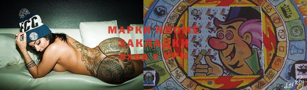 индика Аркадак