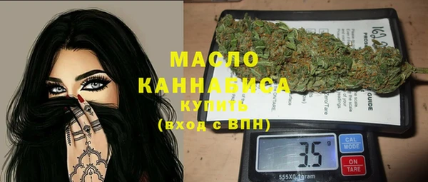 индика Аркадак